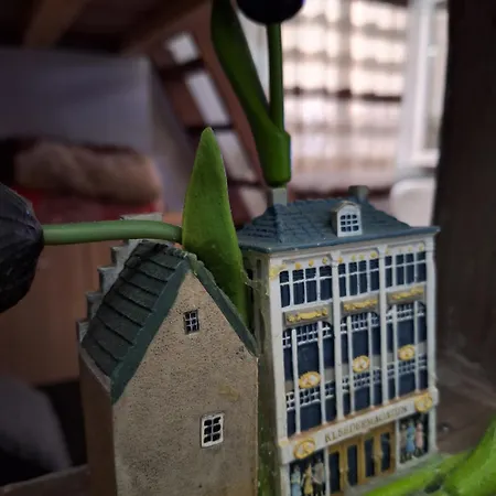 Nederland's Mini Studio * Soluň