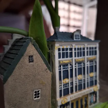 Daire Nederland's Mini Studio Selanik